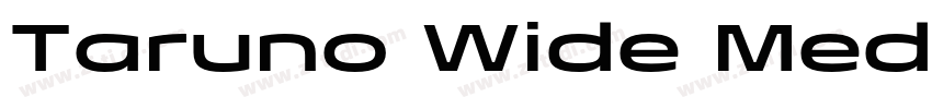 Taruno Wide Med字体转换